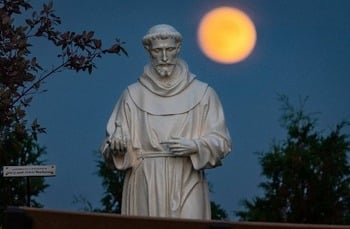 St. Francis' 'Canticle of the Creatures' at 800 endures as vision of redeemed creation