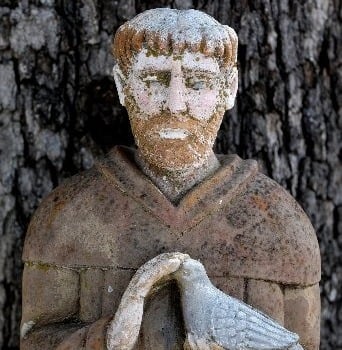 El Papa establece un jubileo para conmemorar los 800 años de la muerte de San Francisco