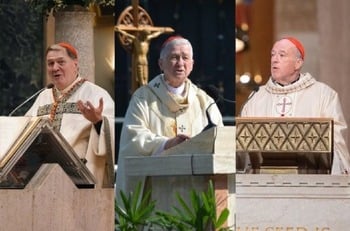 Cardenales de EEUU piden ‘una política exterior genuinamente moral para nuestra nación’