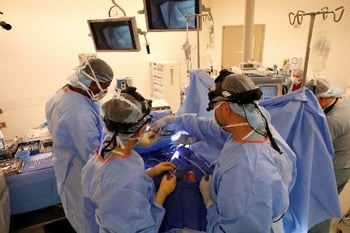 Bioethics of the brain: A conversation with a Catholic neurosurgeon