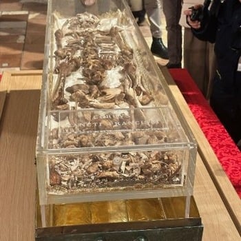 St. Francis' relics open to public for first extended veneration in 800 years