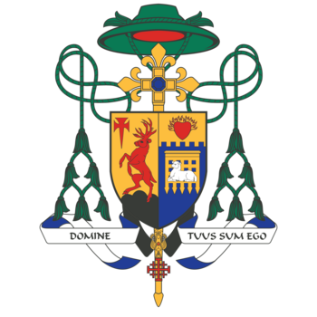 What is the process of appointing bishops in the Catholic Church?