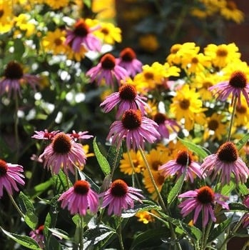 The beauty of Ballerina Farm mom's nine kids