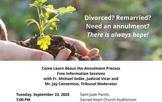 Diocesan Annulment Sessions