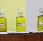 Chrism Mass