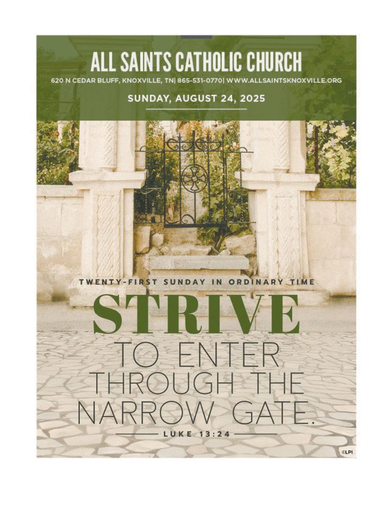 november 14, 2025 Bulletin