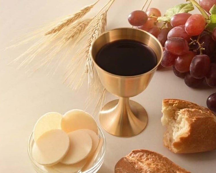 Extraordinary Minister of Holy Communion