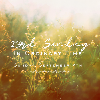 From Fr. Scott: September 7, 2025