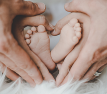 Pro-Life Ministries