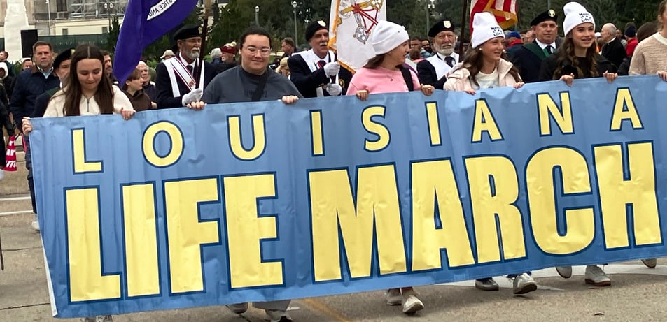 Pro-Life Advocates Rally for Moms, Babies at Life March South