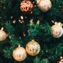 Festival of Trees and Cookie Walk