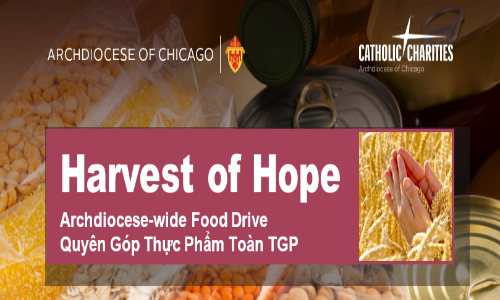 Harvest of Hope Food Drive