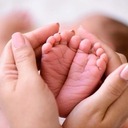 Pro-Life Activities Update