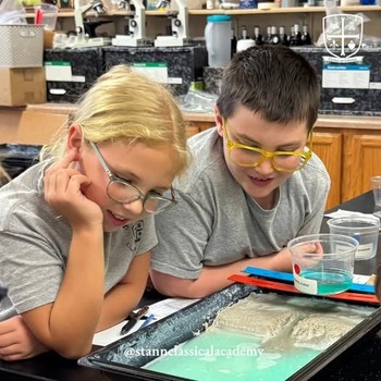 Real World Discoveries in Fourth Grade!