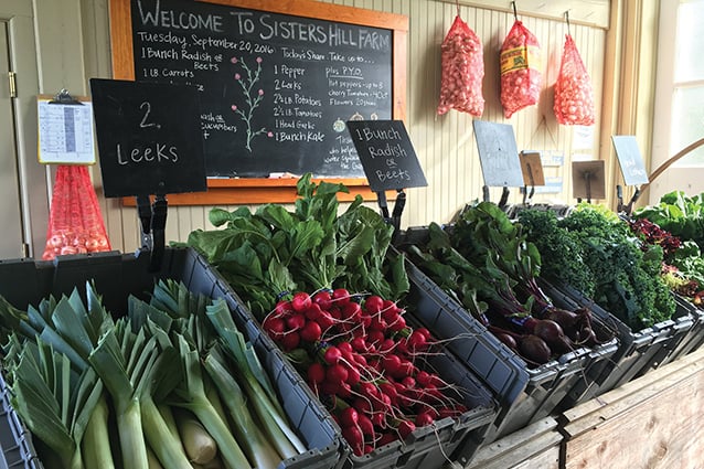Produce from Sisters Hill Farm.