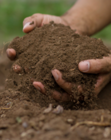Blessing of Seed and Soil