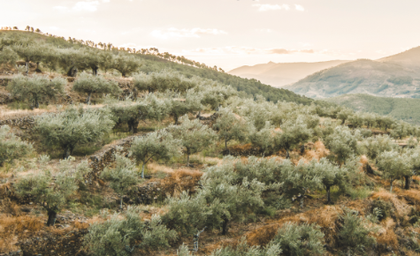 6th Sunday in Ordinary Time