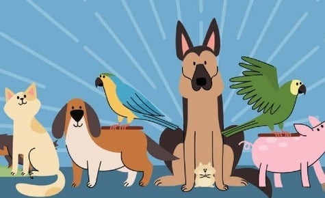 Blessing of the Animals