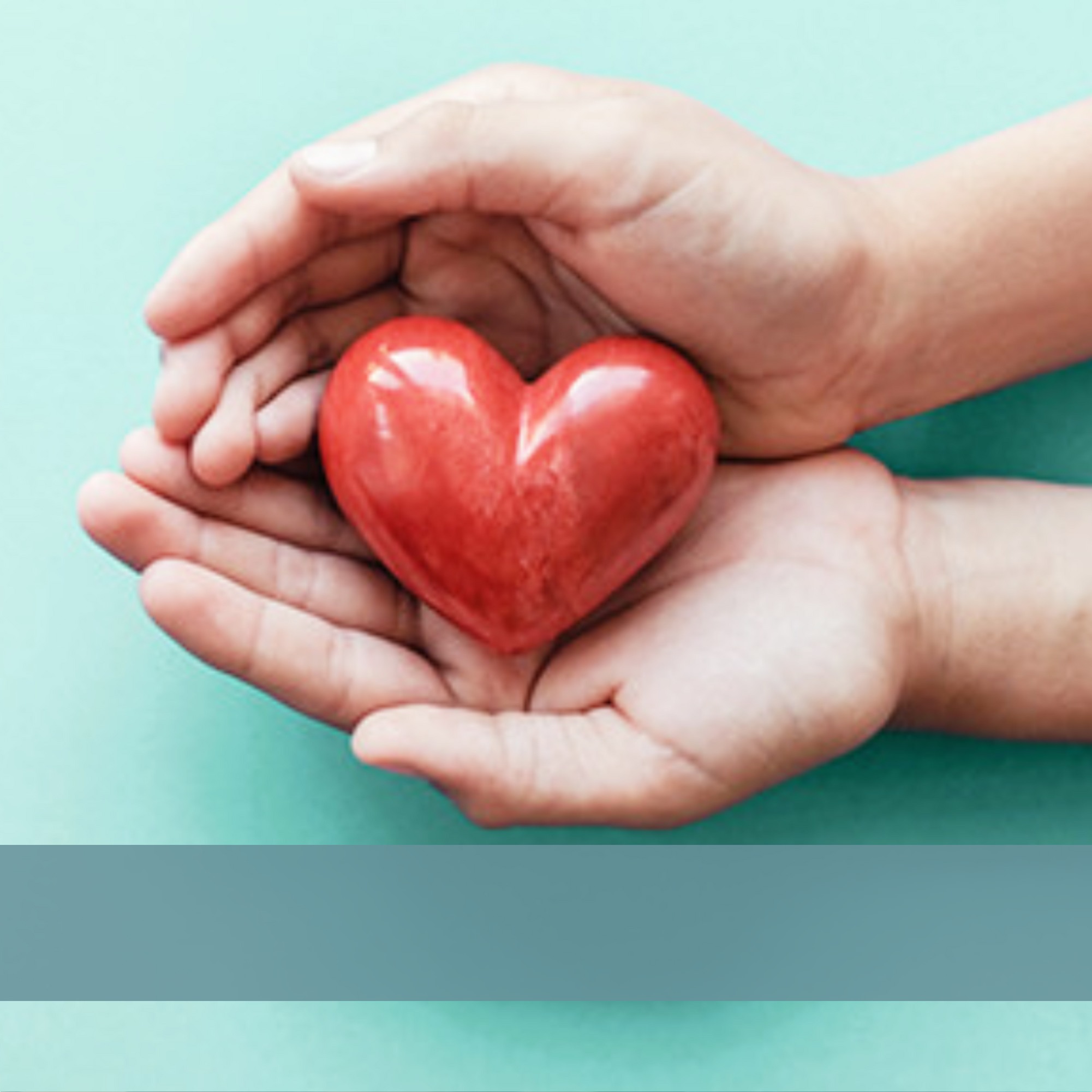 Donaciones en Línea