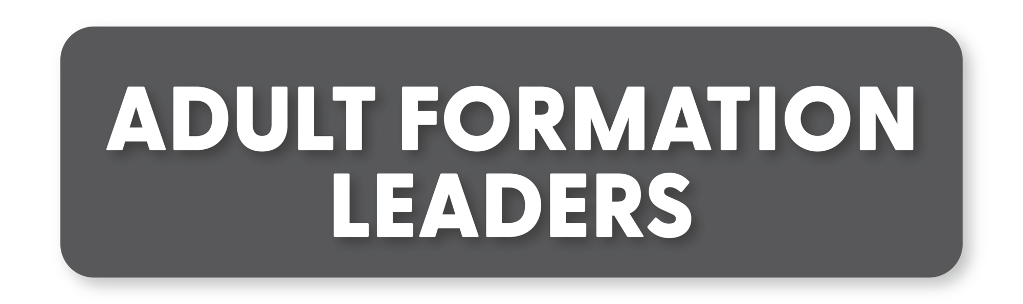 Adult Formation Office of Parish Support Diocese of HoumaThibodaux