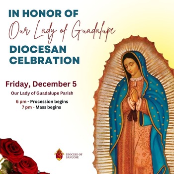 Diocesan Celebration in honor of Our Lady of Guadalupe