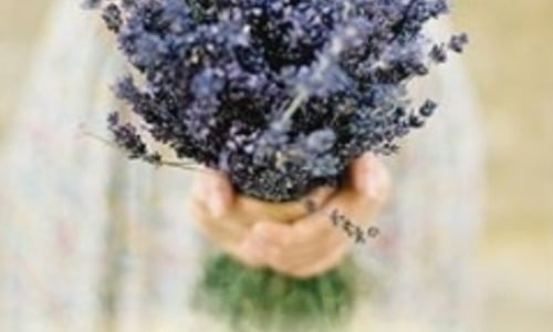 COMING SOON! SPRING WEDNESDAY AFTERNOON PRAYER GROUP/APRIL 15