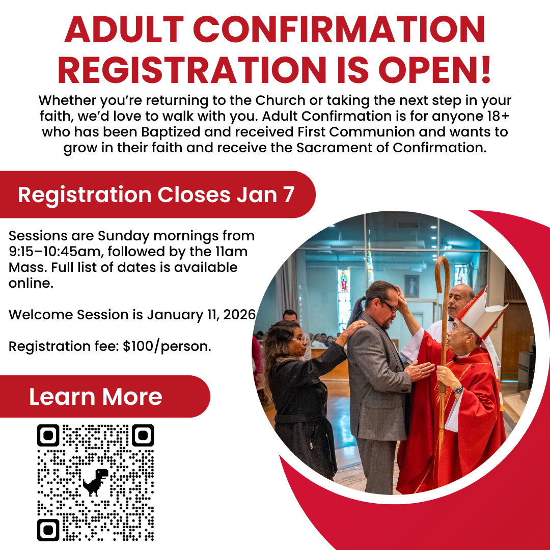 Adult Confirmation Registration for Spring 2026 is Open!