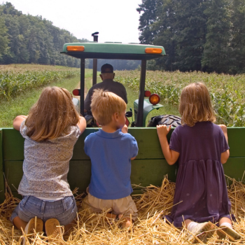 Family Hayride