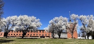 A Springtime of Hope in Liguori