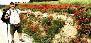 The Journey: Walking the Camino de Santiago