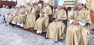 Church of Borba, Amazonas Celebrates Diocesan Status