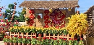 The Year of the Dragon