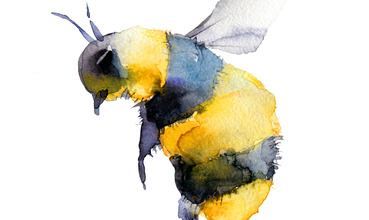 In The Margins: Blessed Bee!