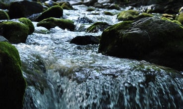 Action That Flows from Prayer