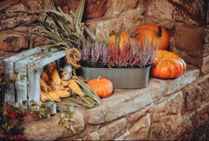 Thanksgiving week Masses