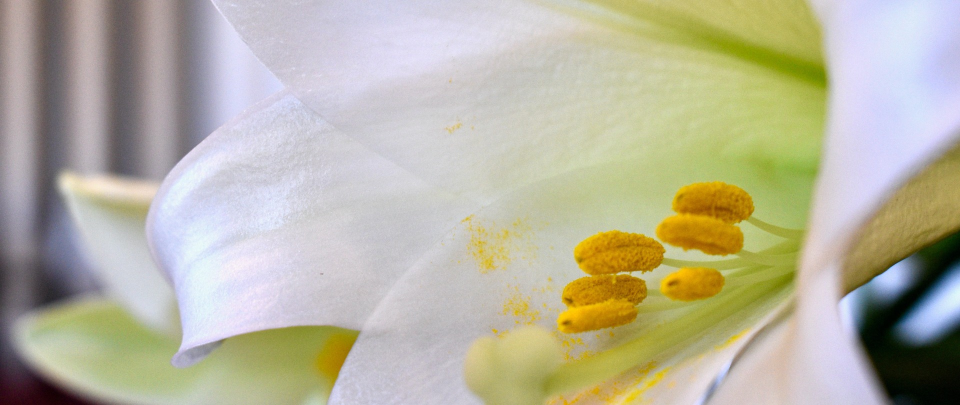 Holy Rosary Catholic Church LaMoure