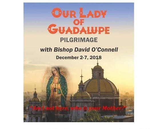 Pilgrimage to Basilica of Our Lady of Guadalupe