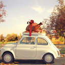 Thanksgiving Closure