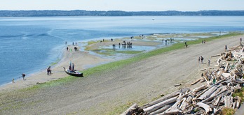17th Annual Low Tide Celebration