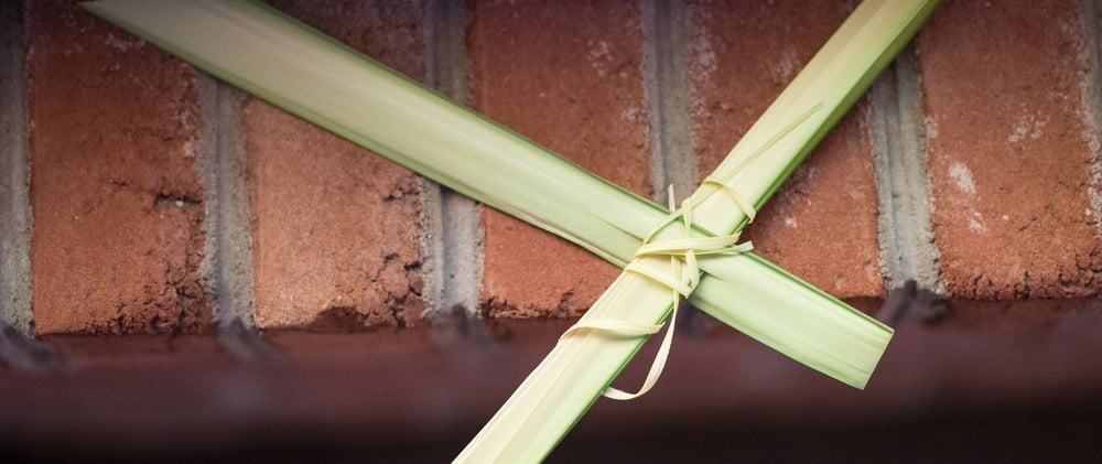 Palm Sunday of the Lord's Passion
