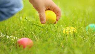 Easter Egg Hunt