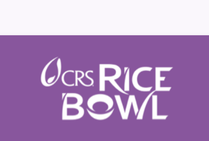 Return Rice Bowls