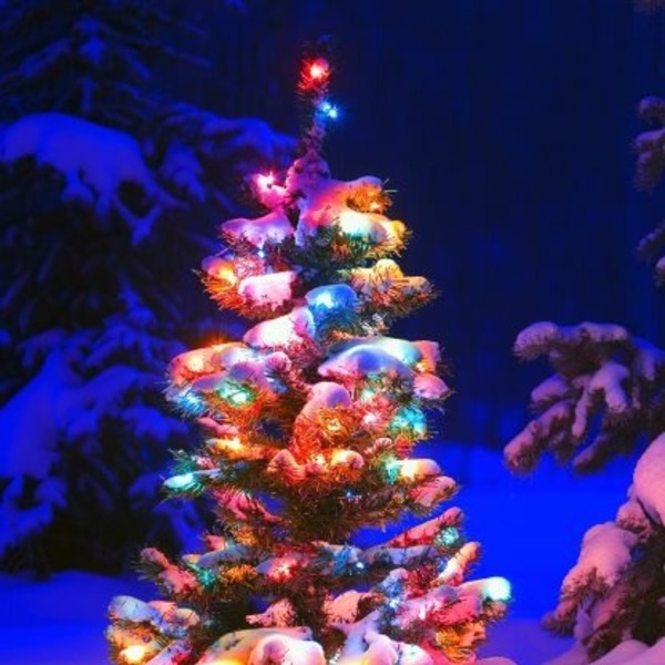 Women's Guild Christmas Dinner