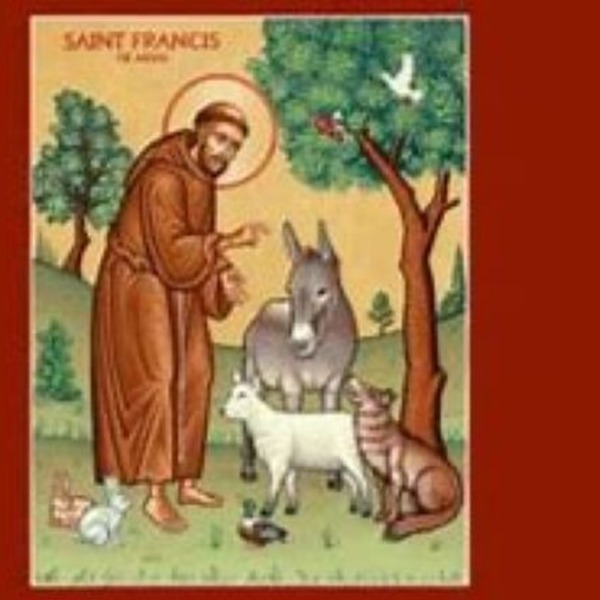 Blessing of the Animals