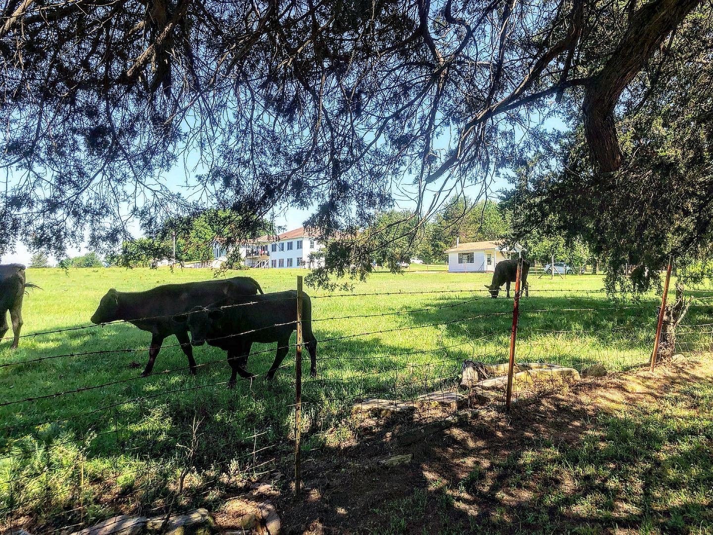 Directions Heyschia House of Prayer New Blaine, AR
