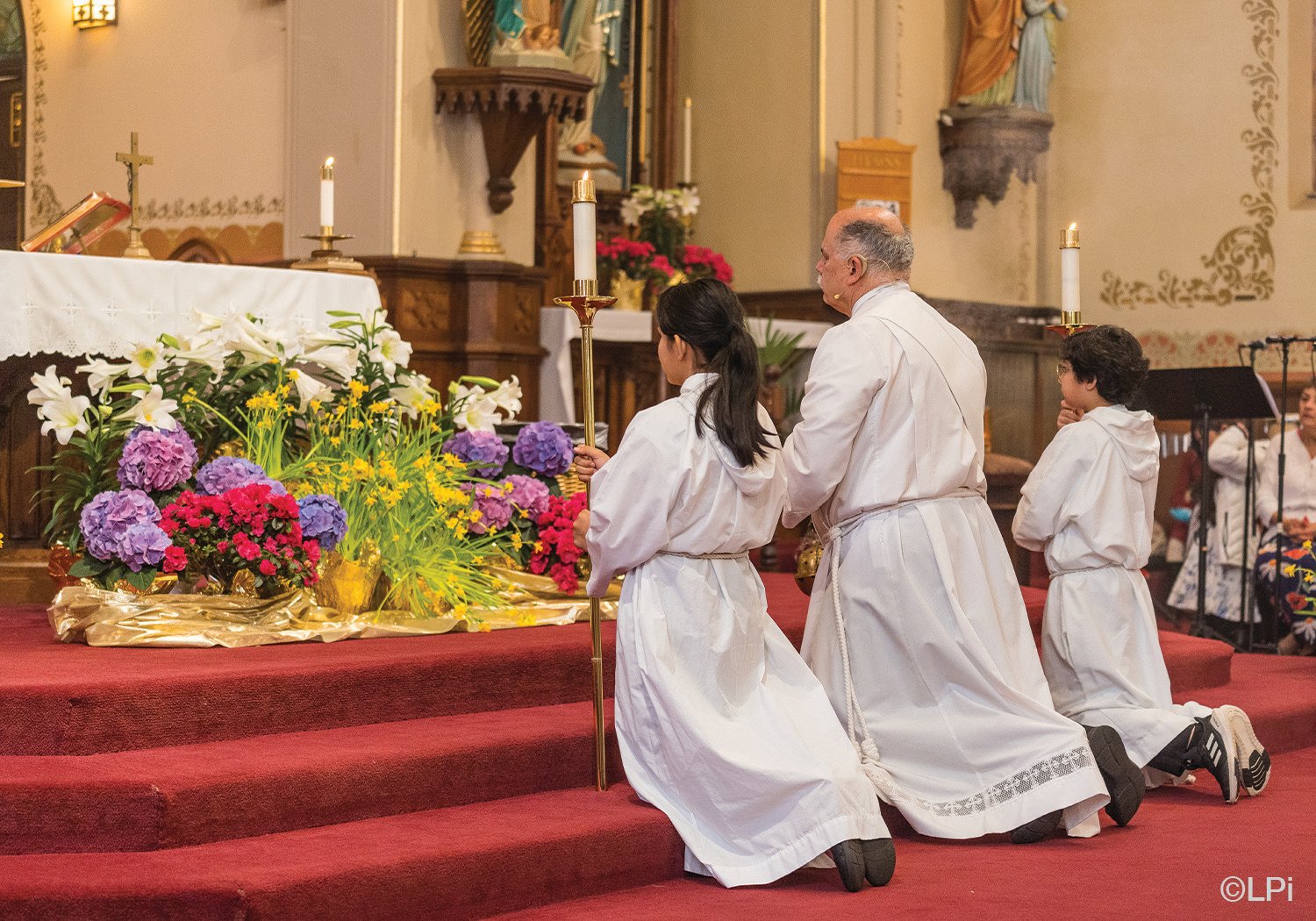 Headline Section 1187186