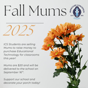 ICS Students are selling Mums