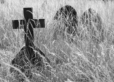 Grief & Loss Support Group