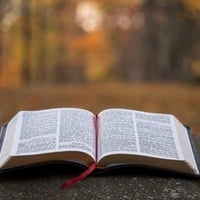 Bible Study