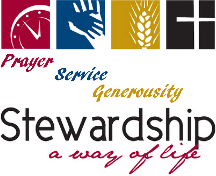Stewardship